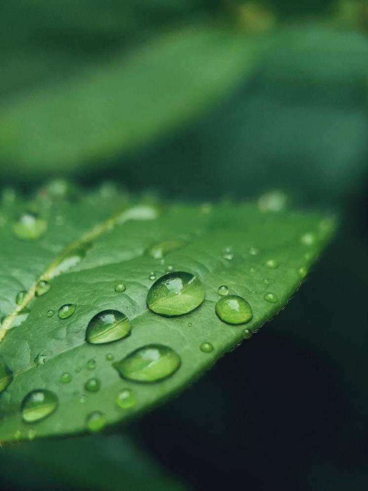     фото: Unsplash