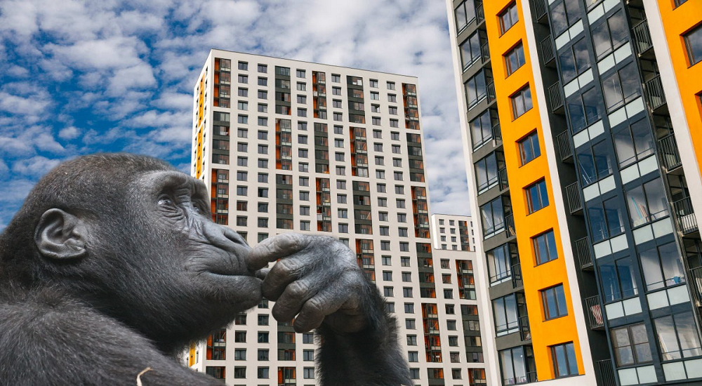 Почему на вторичном рынке Москвы слабо растут цены?