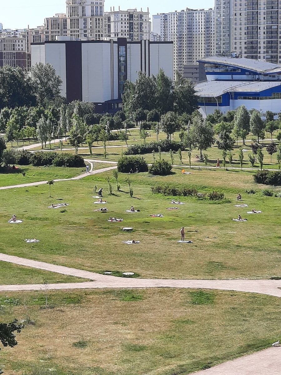 Парк под окном. Санкт-Петербург