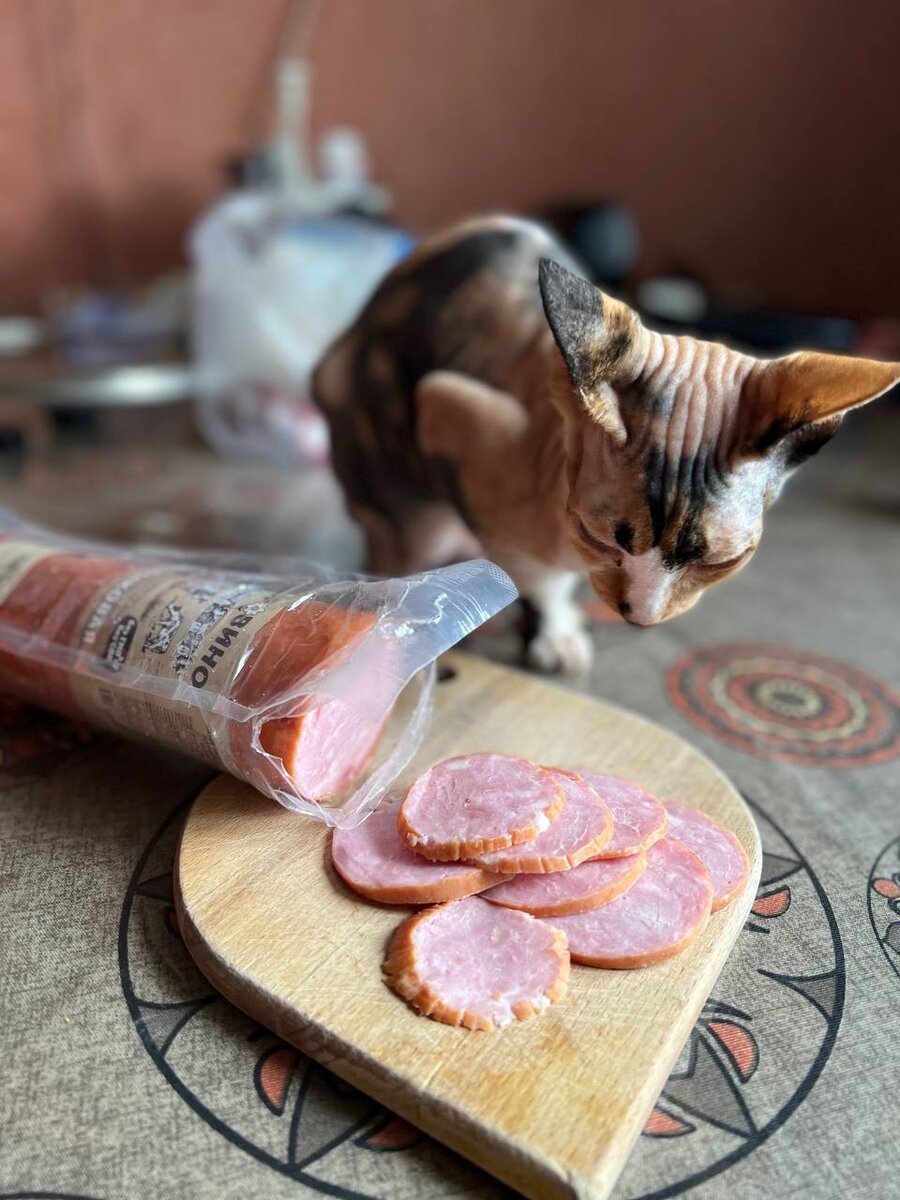 Источник: https://t.me/svetofor_akcii/