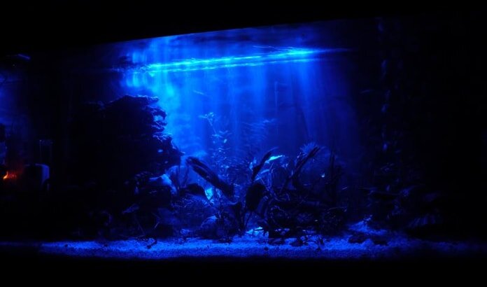 Типы светильников для аквариумов