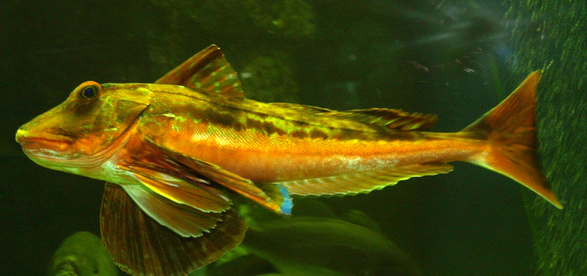 Фото: Евгения Карпова