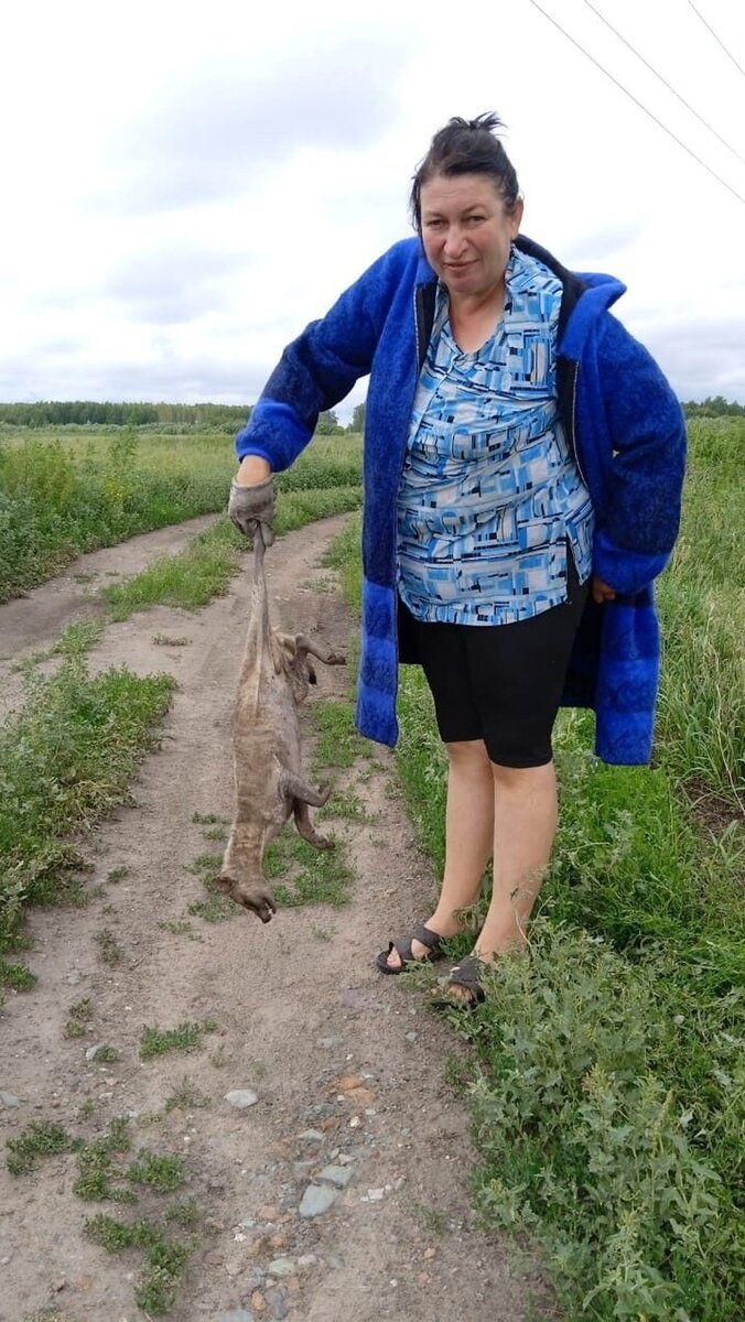 Фото животных угрюмов