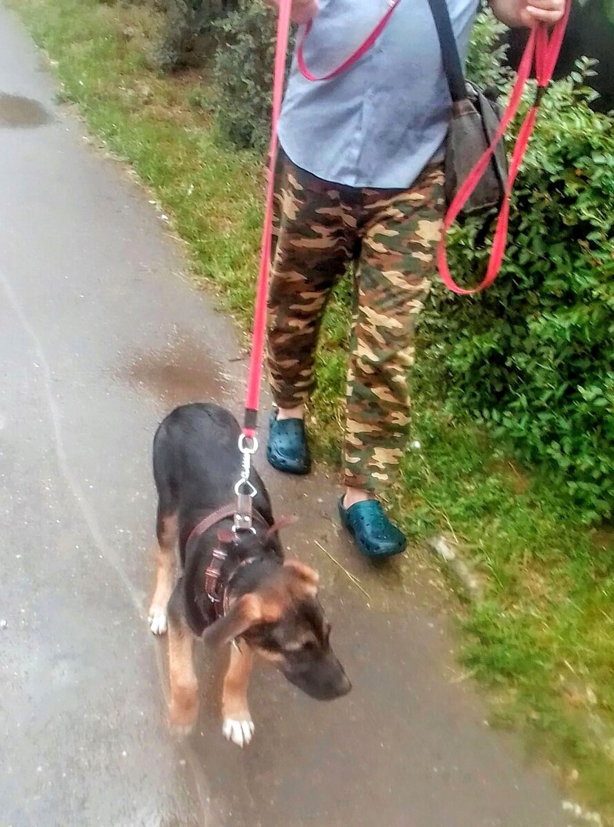 Платоша и ноги