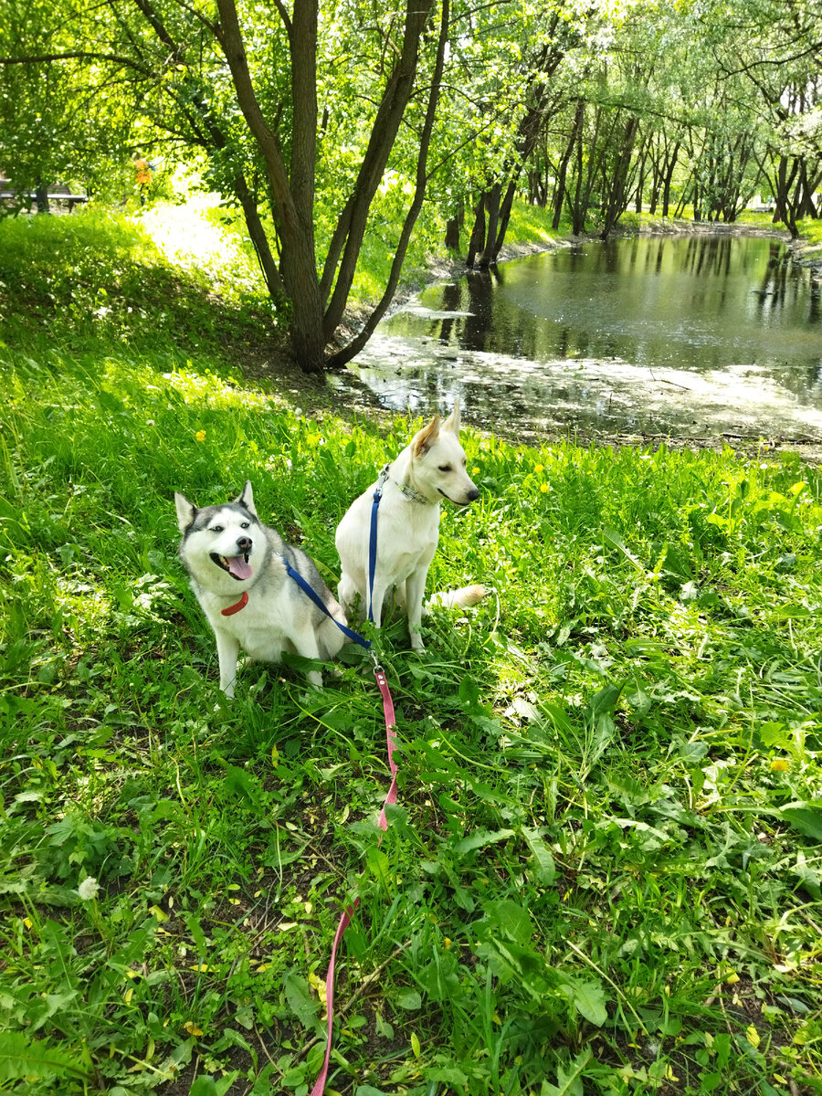 Хитрая банда😊