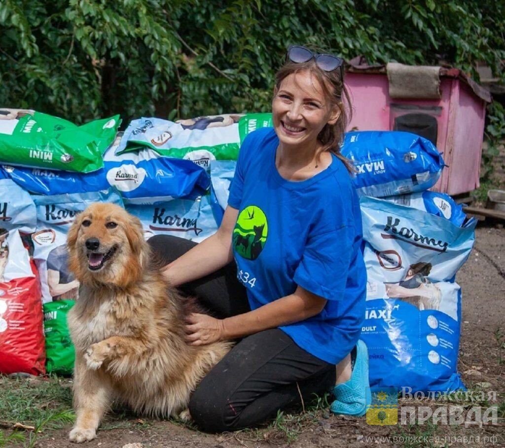 Актриса Диана Пожарская передала волжскому приюту для животных «Уголёк»  полторы тонны корма | Волжская правда | Дзен