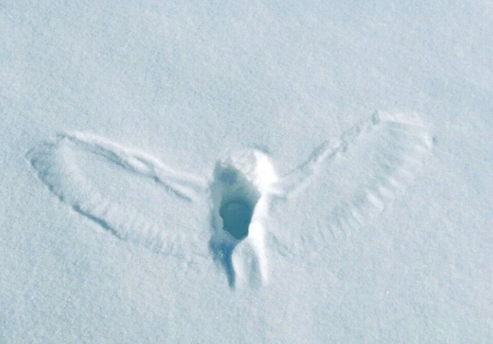 Когда бежать уже некуда