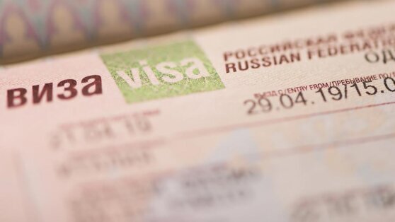    Электронную визу в Россию можно будет оформить меньше чем за неделю Ирина Петрова