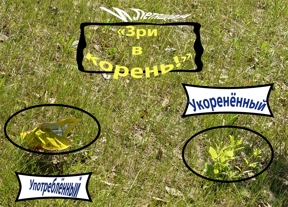 Фото автора И.В.Бояршиновой