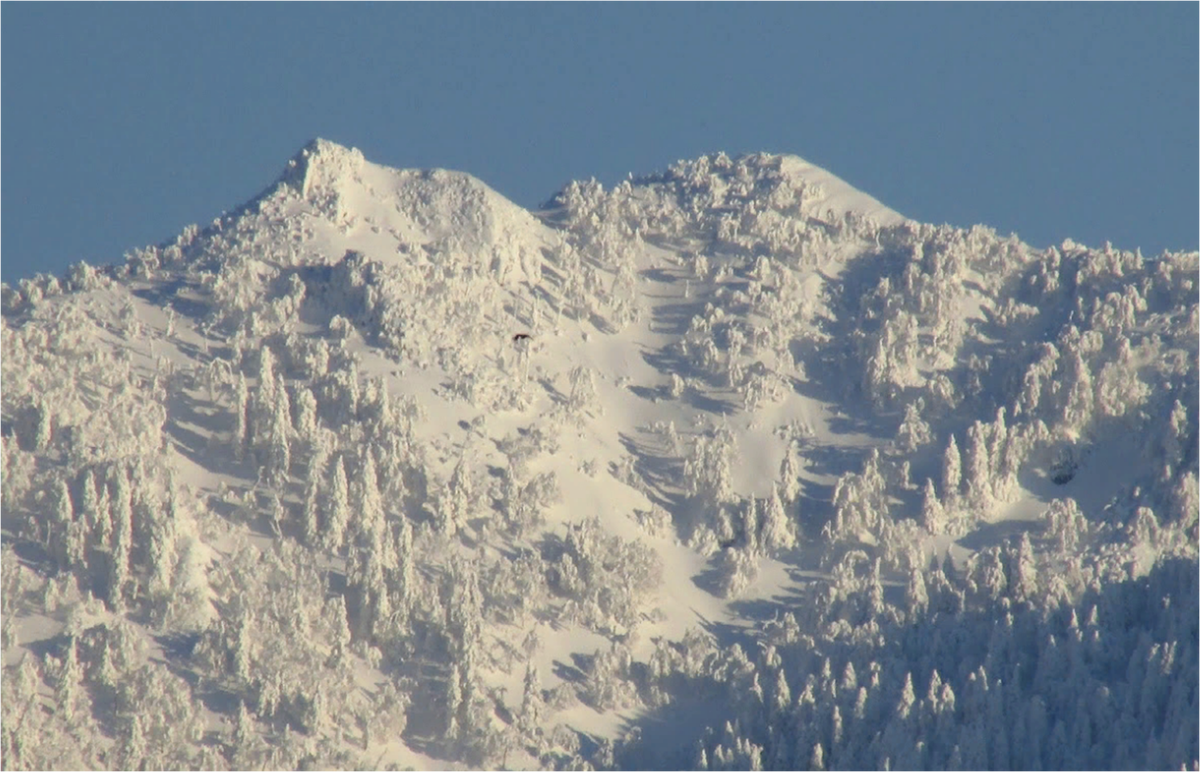 Зимняя гора Подкова. Фото Д. Шурыгина, Google.Earth