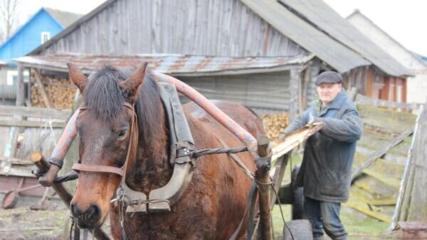    © Sputnik / Тамара Зенина