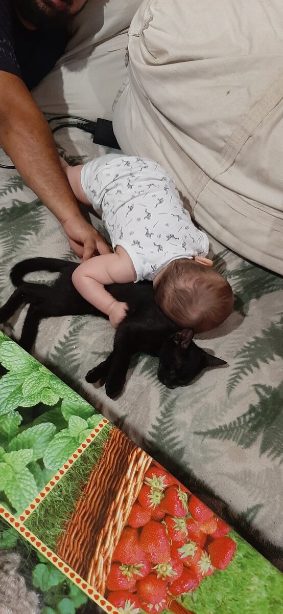 Это дочка прижалась к Басте