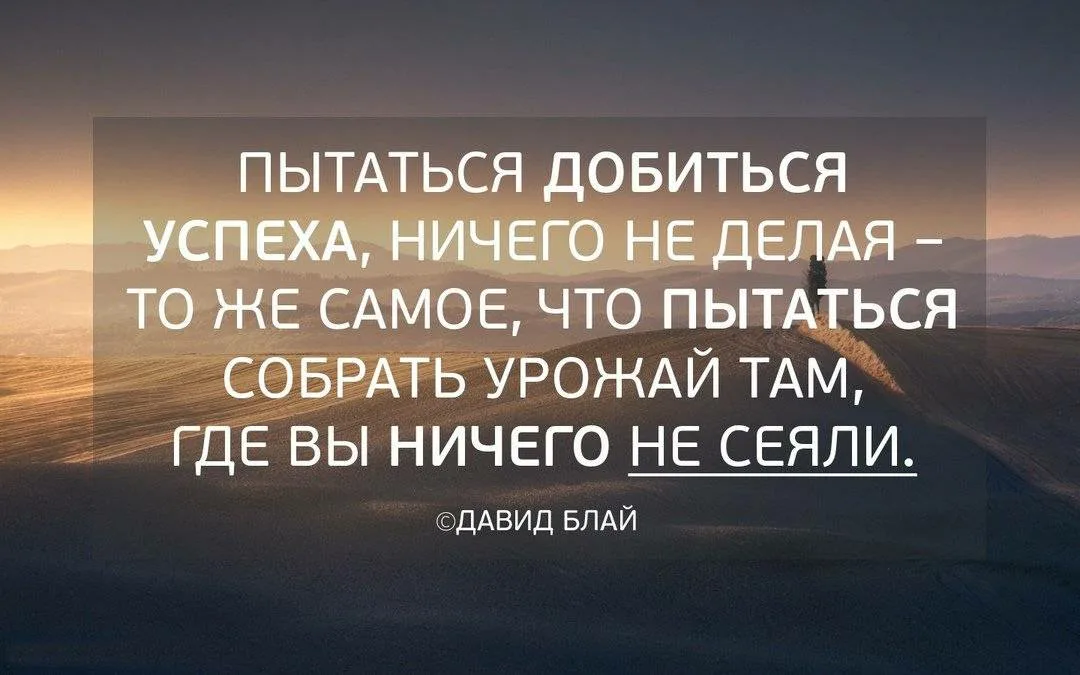 Цитаты про успех. Включи добивайся успеха. Достижение успеха. Включи добивайся успеха. Включи добивайся успеха.
