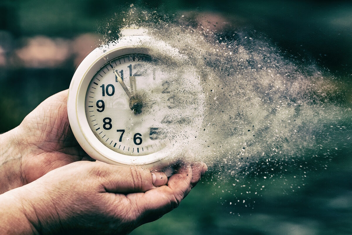    Фото: Bystrov / Shutterstock.com