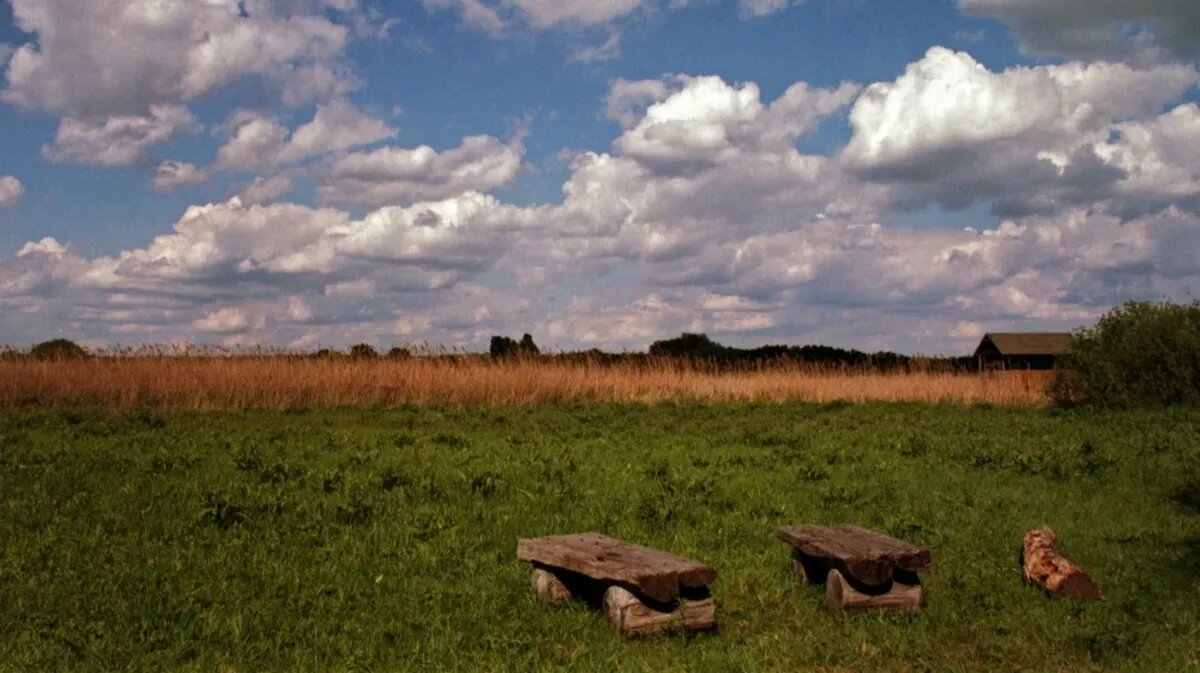 Фото: pxhere.com