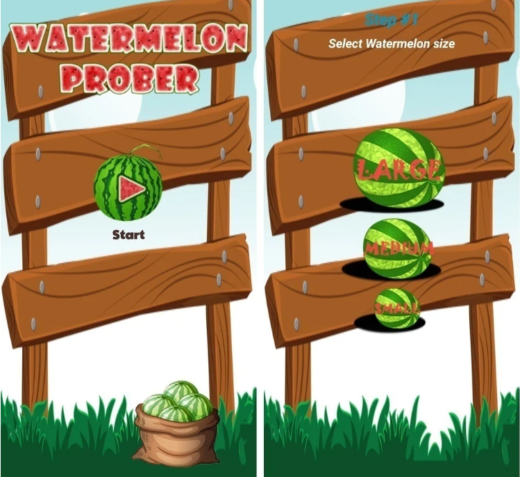 Выбор арбуза с помощью смартфона