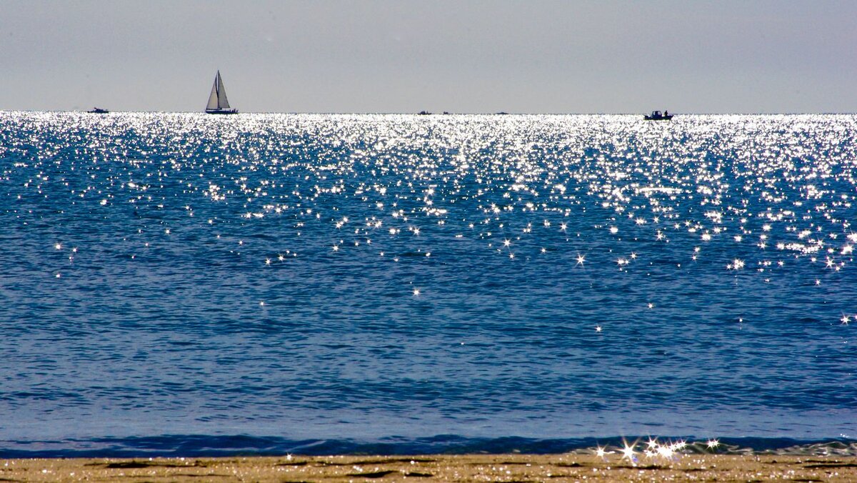 Фото из открытого доступа