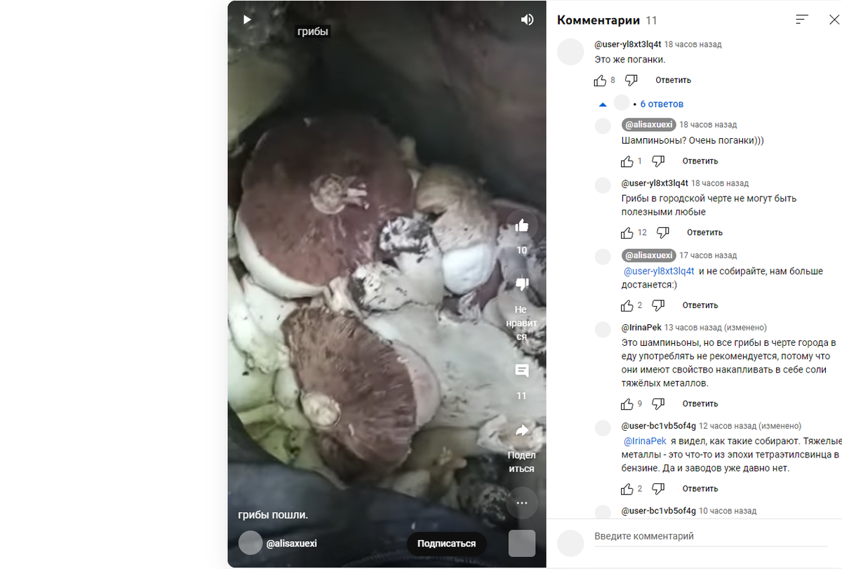 Скриншот с канала "Учимся с Алисой"