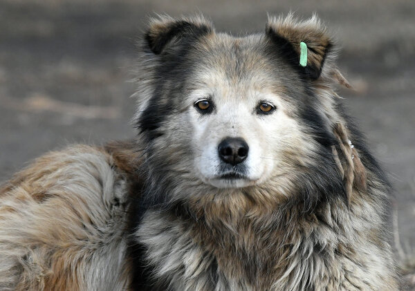 Фото: РИА Новости/Илья Наймушин