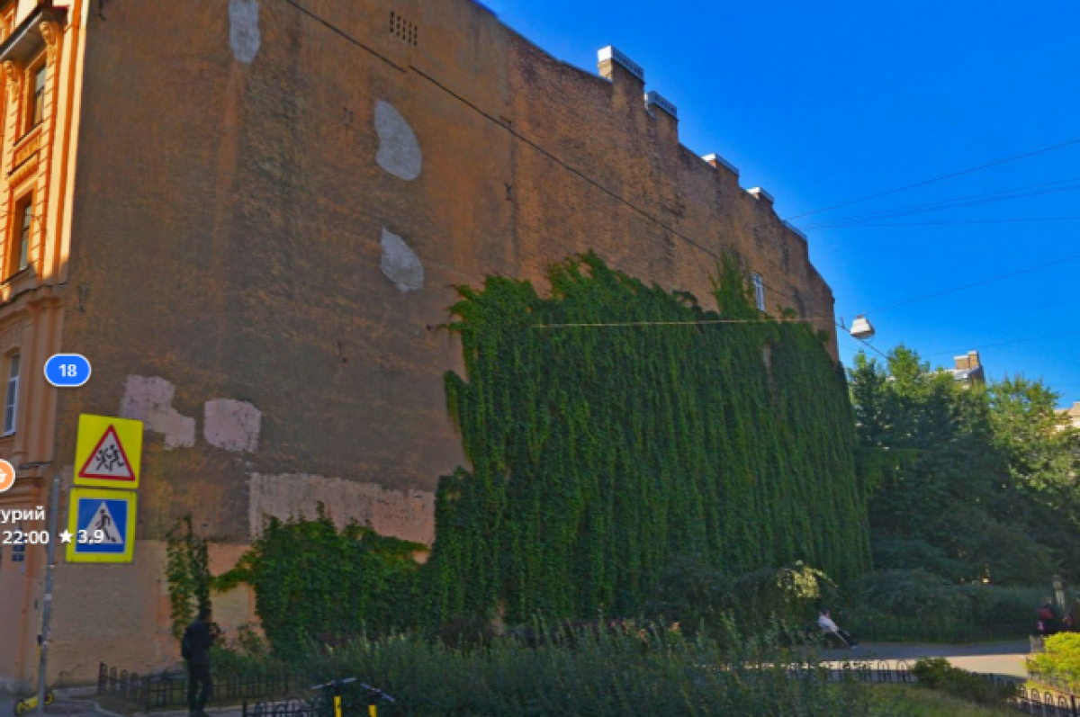    Зелёная стена в 2022 году.