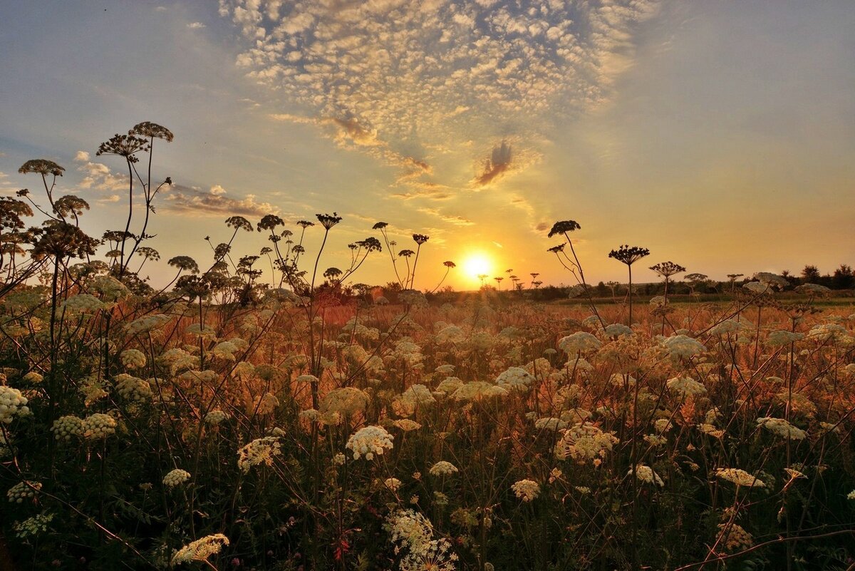 Фото из открытого источника