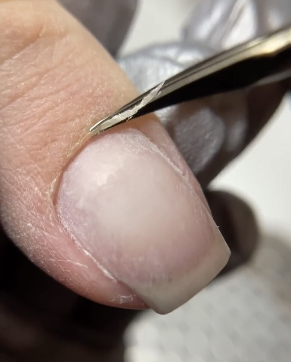 Как отрастить ногти в домашних условиях - быстро и эффективно! - FitoBlog