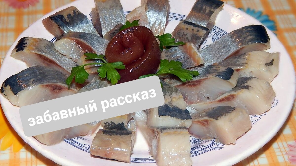 Селедки женские