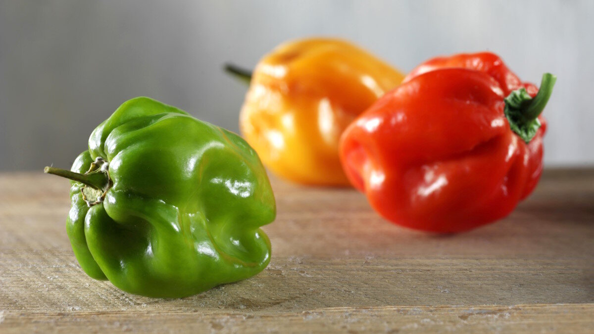    Когда приходит пора собирать урожай