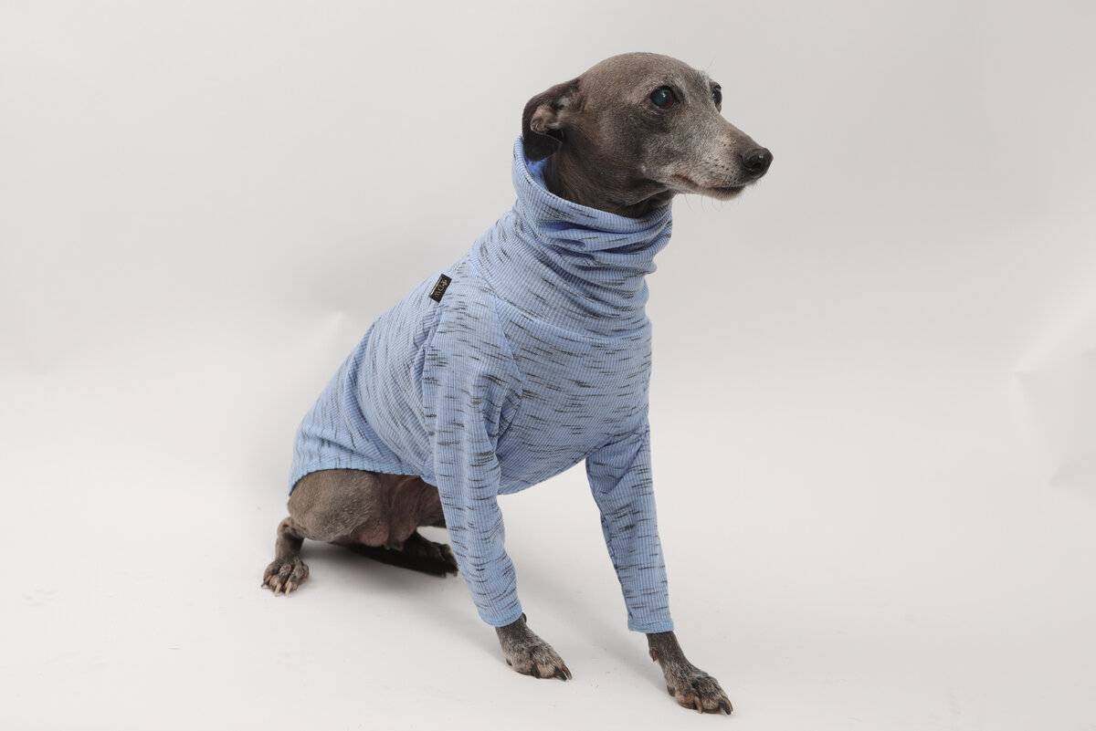 Эластичная кофта для собак