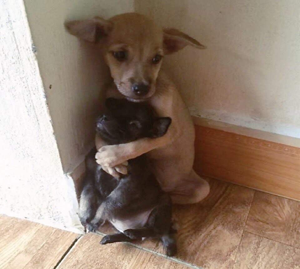 Что пришлось пережить скитальцам, раз они так переживают