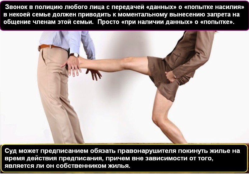 закон о бытовом насилии. закон о бытовом насилии. законопроект о профилактике семейно-бытового насилия. закон о домашнем насилии. закон о бытовом насилии.