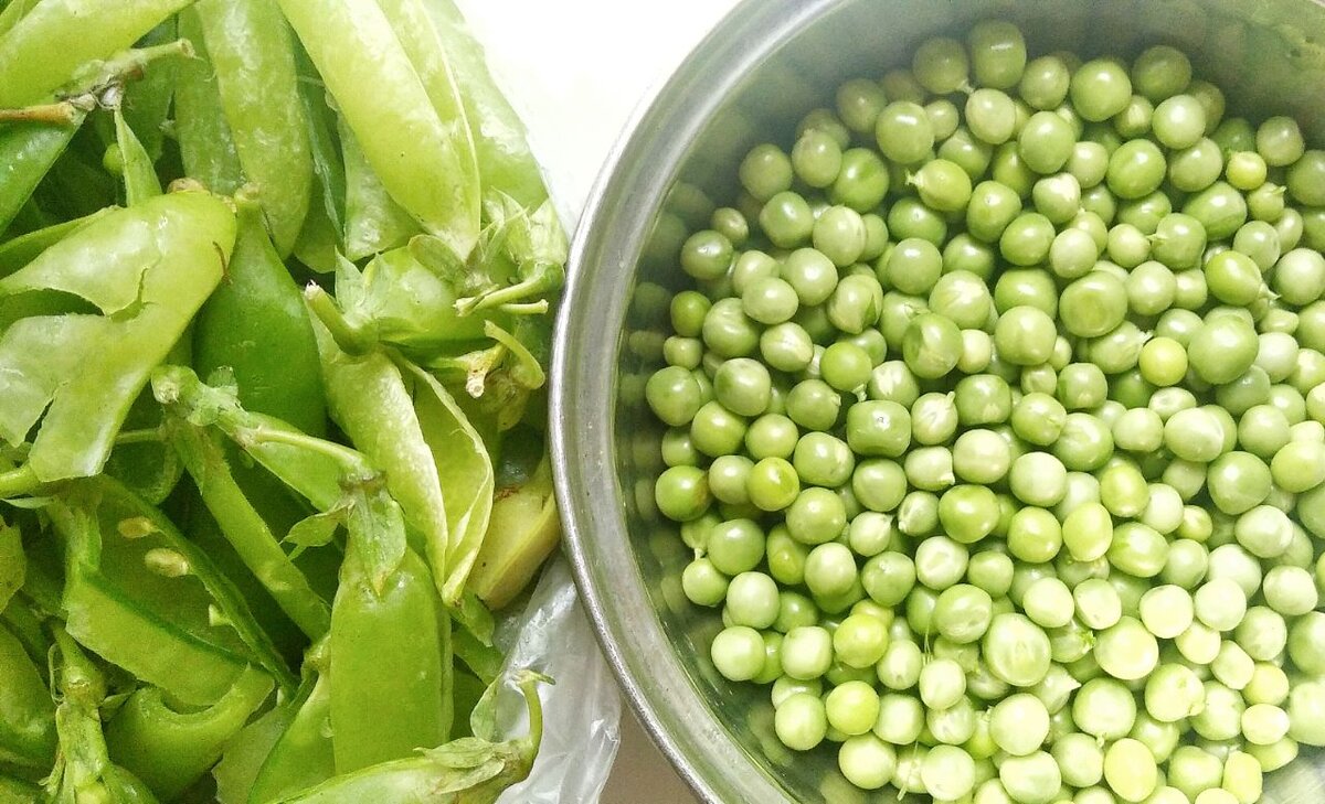 Fava из гороха go Vegan