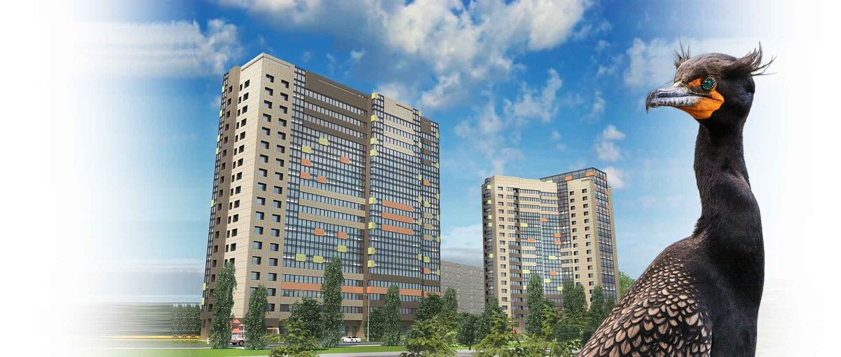 Баклан - птица гордая