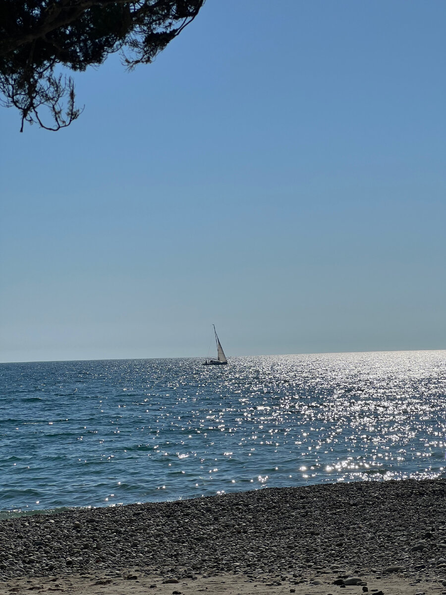 Парусник в черном море