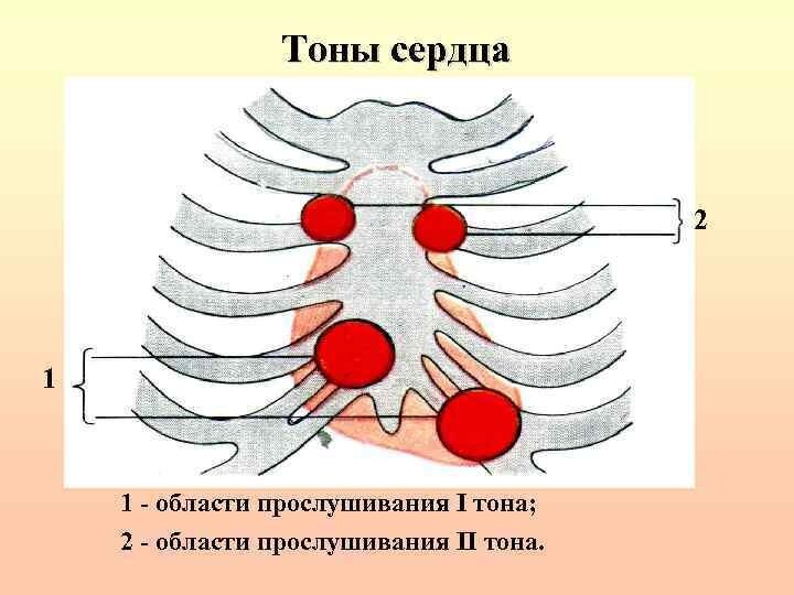 Heart тону. Heart тону. Heart тону. Your heart sinks. Сердце рисунок.