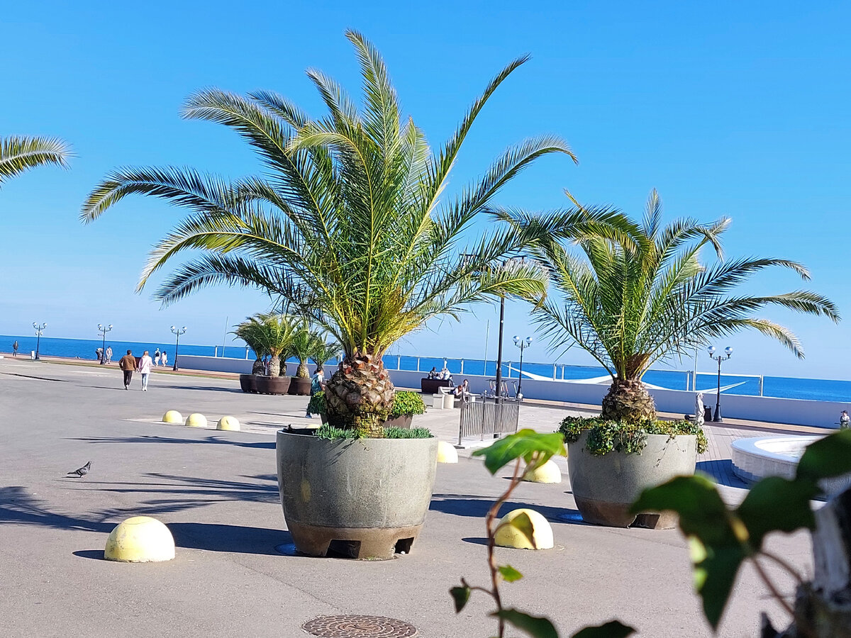 Фото автора Работа на море