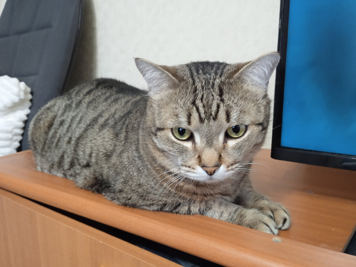 Борис не любит фотографироваться, на фото выглядит расстроенным.