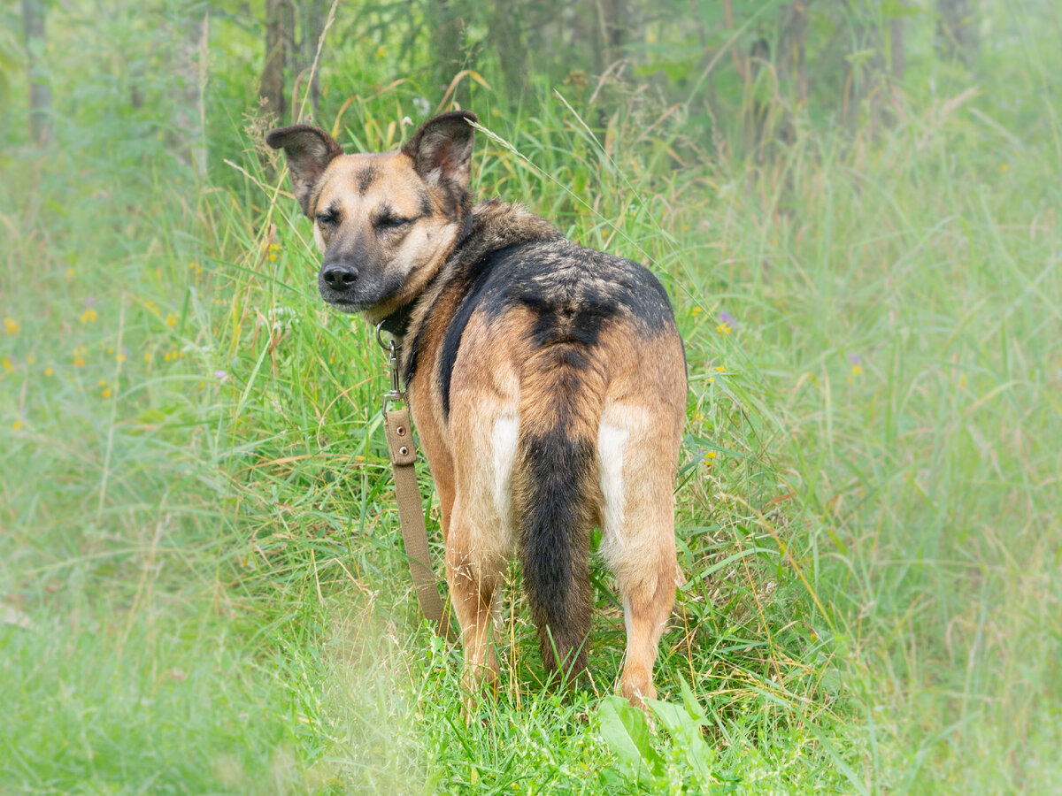 "Догоняй! Пойдем еще походим!"