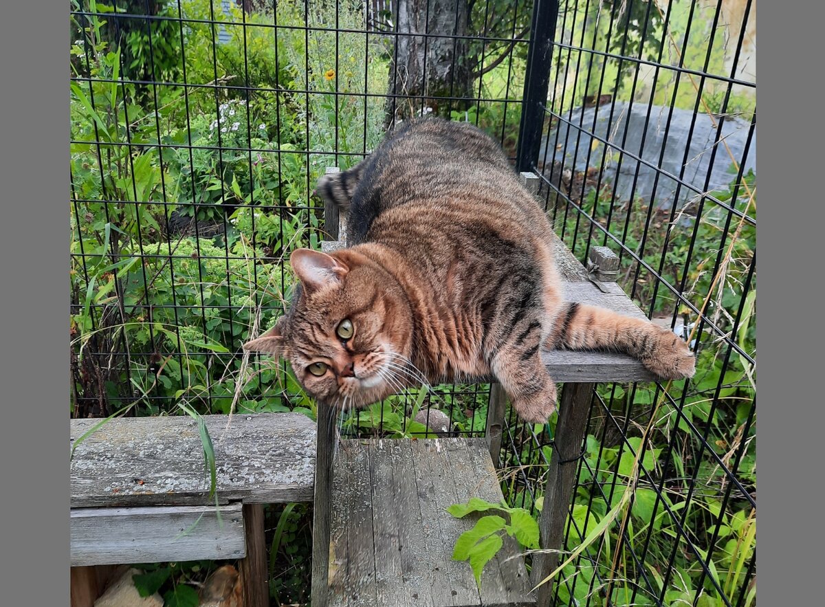 Домой? Не, пока не хочу!