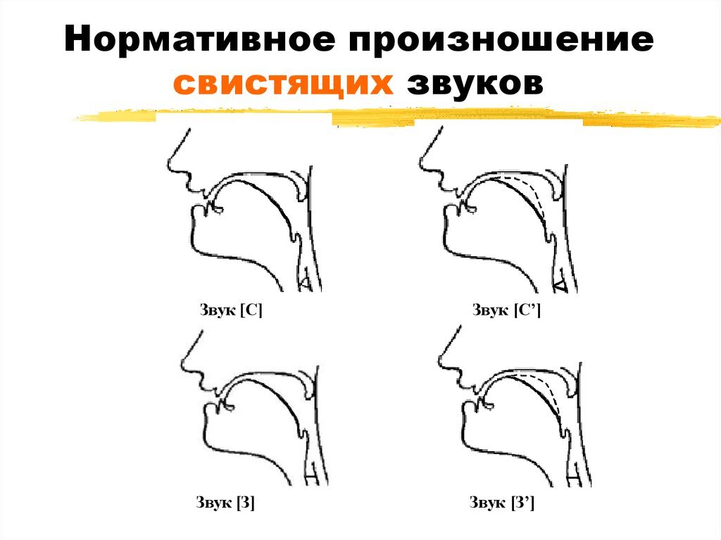 Скороговорки на шипящие звуки