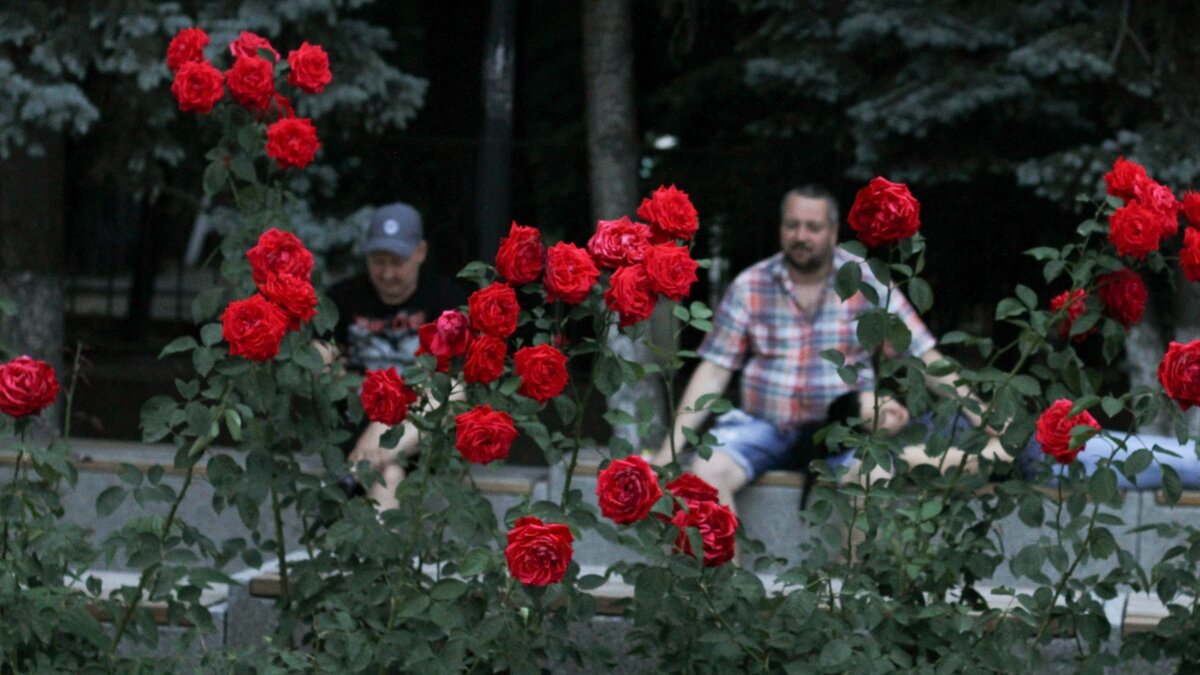     Полная программа праздничных мероприятий на День города Ростова-на-Дону появилась на сайте администрации.