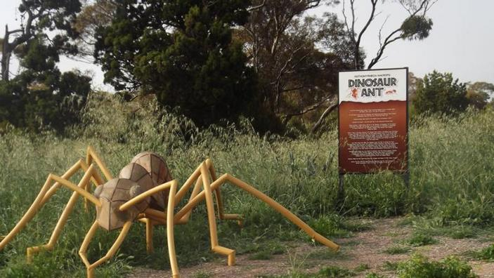 К слову, учёные потеряли динозавровых муравьёв аж на 40 лет, а потом нашли их в 1000 километрах от места первой встречи. Вот радости-то у энтомологов было!