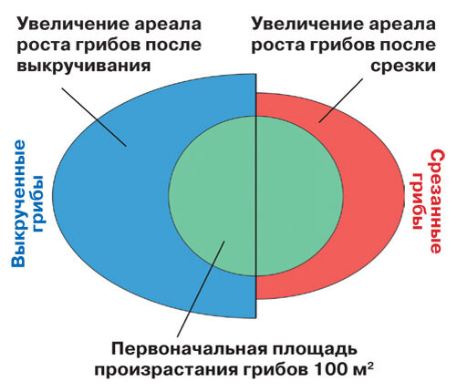 scale_720