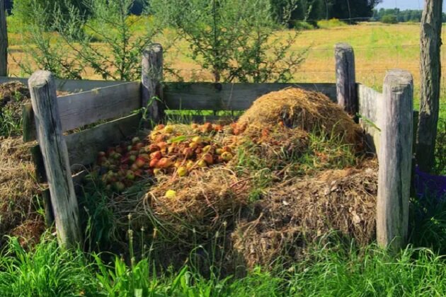Что делать с растительными остатками?