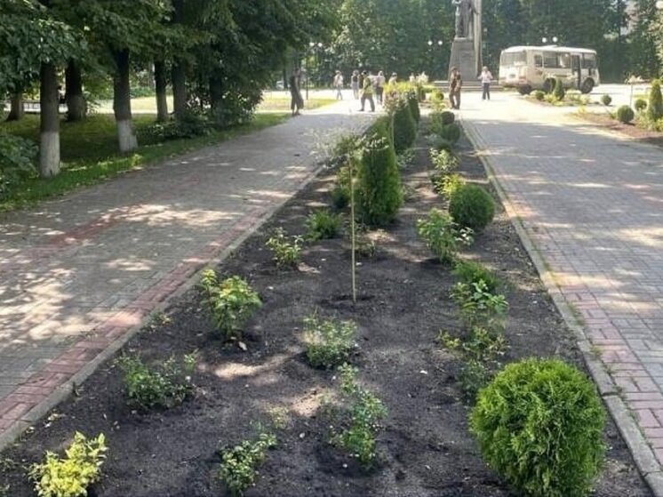     Фото: пресс-службы горуправы Калуги