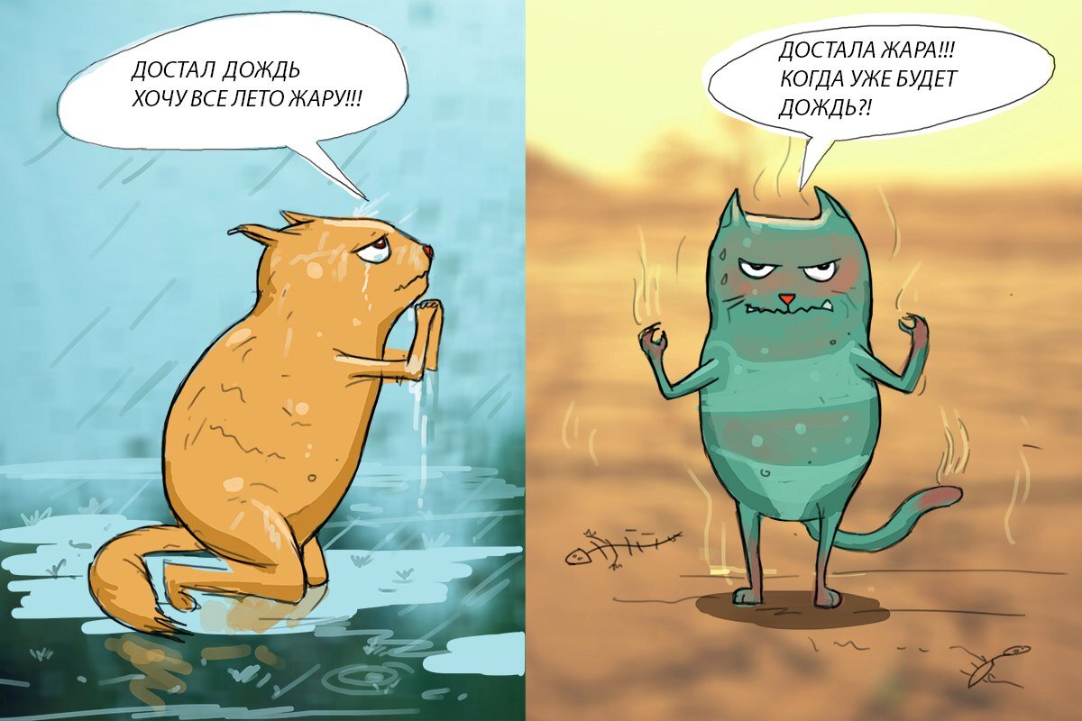 Яндекс картинки