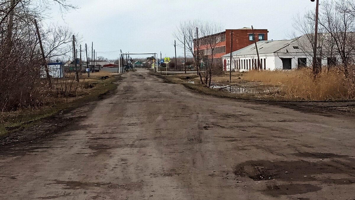     Таковы результаты опроса в соцсетях.