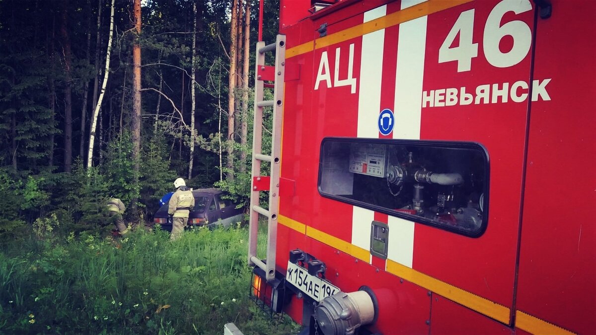 На Серовском тракте Иж Ода влетела в дерево. Водитель в больнице (фото) |  Новости Нижнего Тагила | Дзен