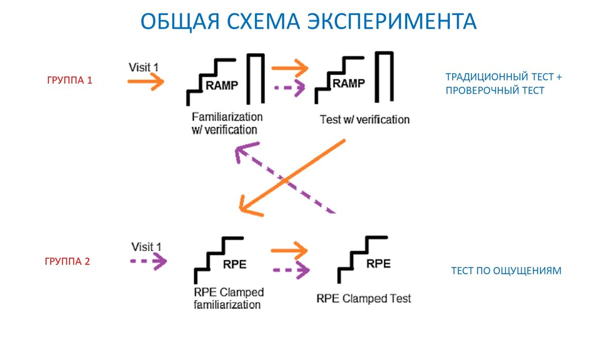 Оценка выносливости по ощущениям. Сравнение с традиционным тестированием |  Василий Волков | Дзен