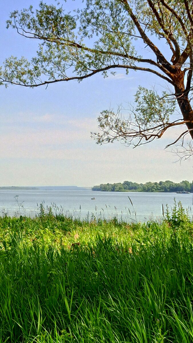 фото автора, река уже близко 